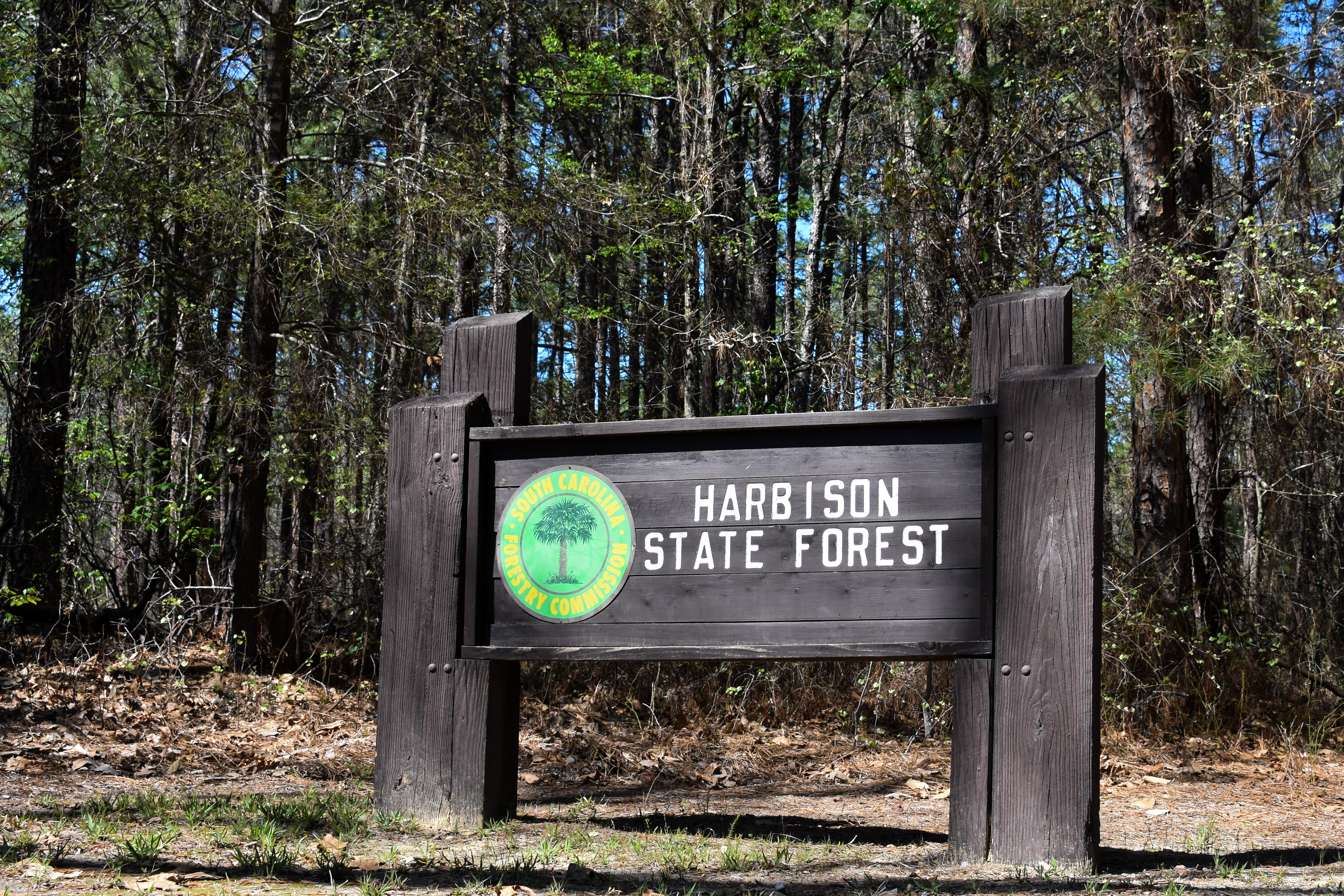 Harbison State Forest Trails